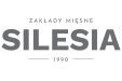silesia logo